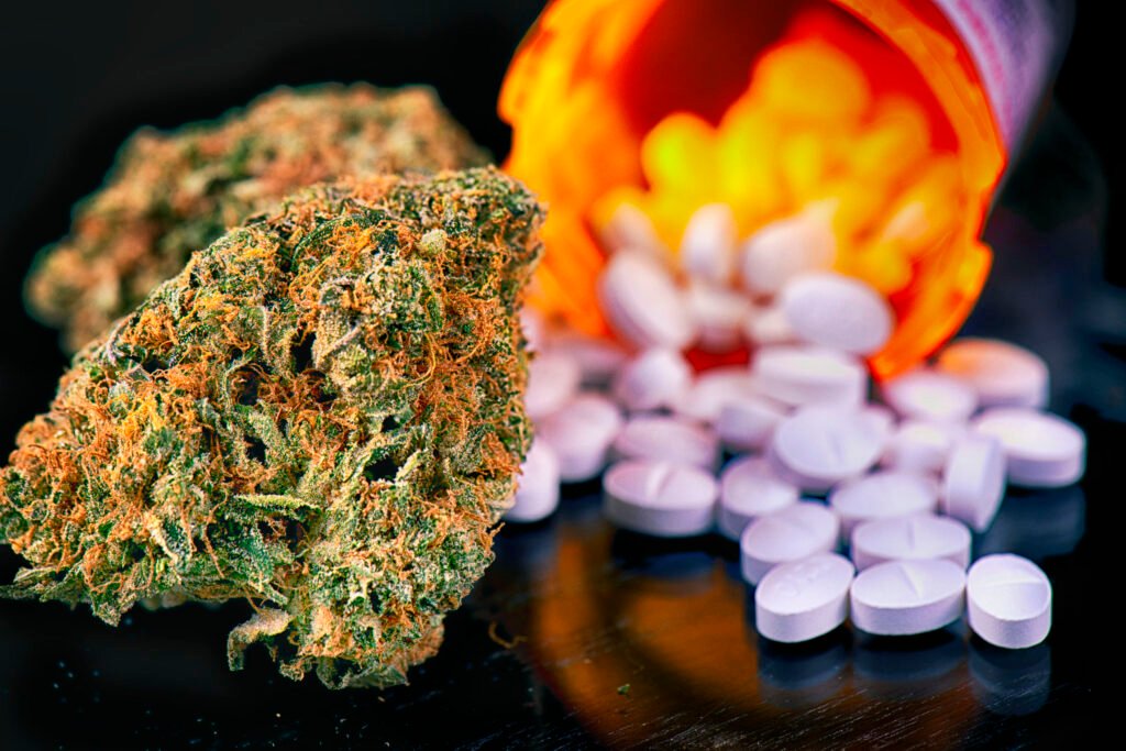 RSO vs. Opioids vs. CBD
