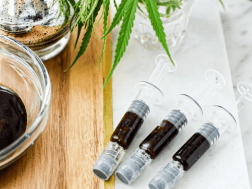 make Rick Simpson Oil