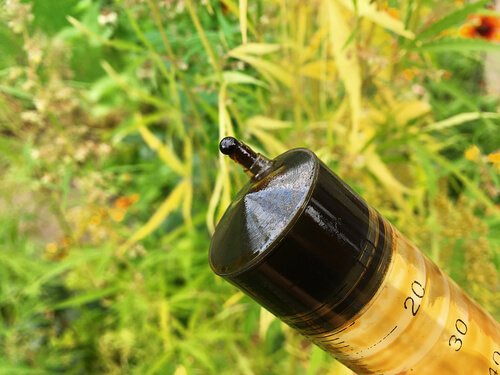 How Rick Simpson Oil Works